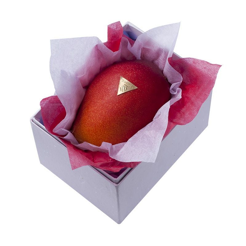 【父の日ギフト2023】<br>宮崎産完熟マンゴー1玉入（4Lサイズ)