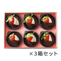 【バレンタインデー2023】<br>ショコラ・フレーズ6個入×３箱セット