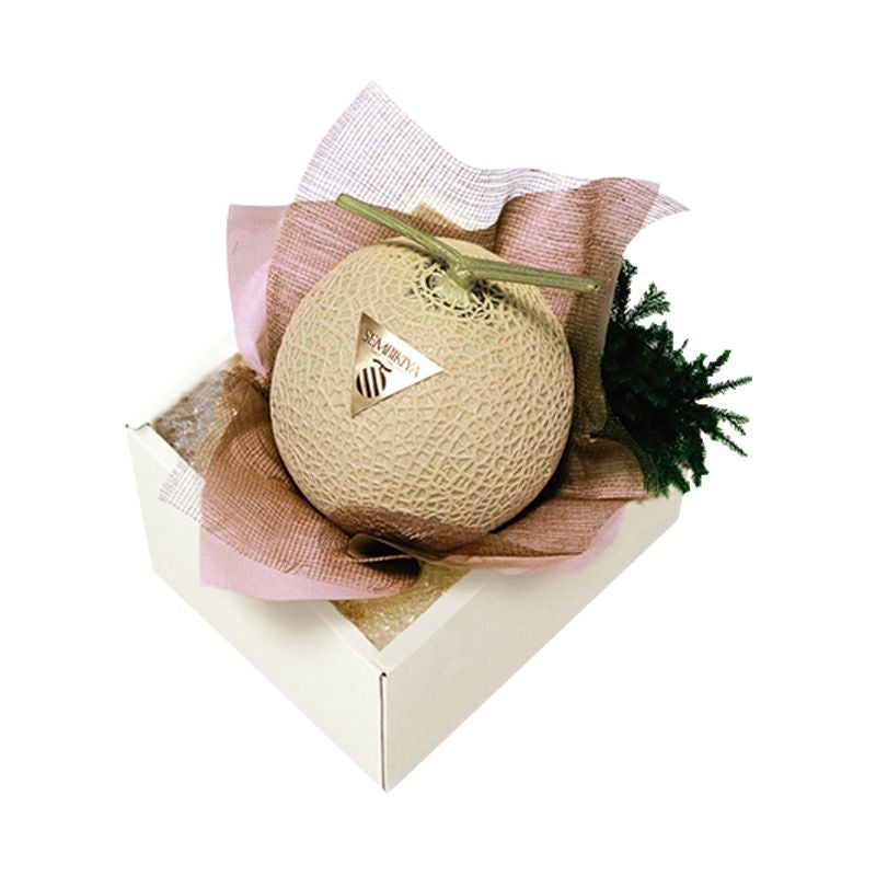 マスクメロン1個・化粧箱入（約1.5kg) | 京橋千疋屋オフィシャルショップ