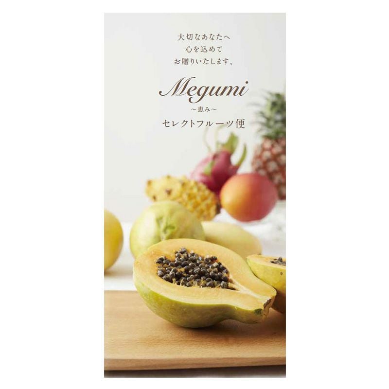 セレクトフルーツ便 ～恵み～ | 京橋千疋屋オフィシャルショップ