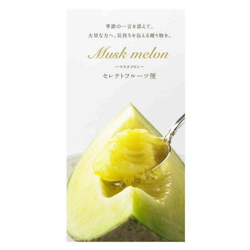 000000002545-01.jpg?size=m&w=