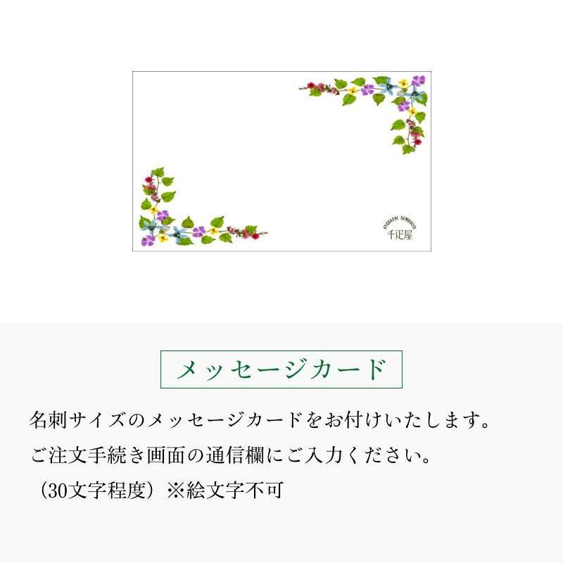 フルーツカレー 8箱入 化粧箱入 | 京橋千疋屋オフィシャルショップ